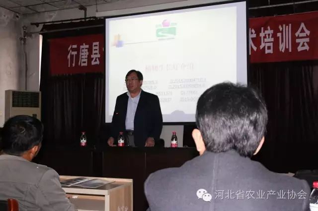 臺灣植物補光專家張震東先生來河北指導植物補光技術