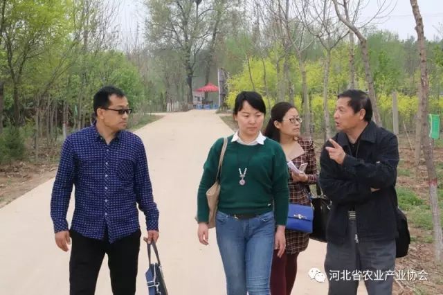 孫悅明會長等領導赴邢臺理事單位邢臺市澤陽園農業科技開發有限公司調研