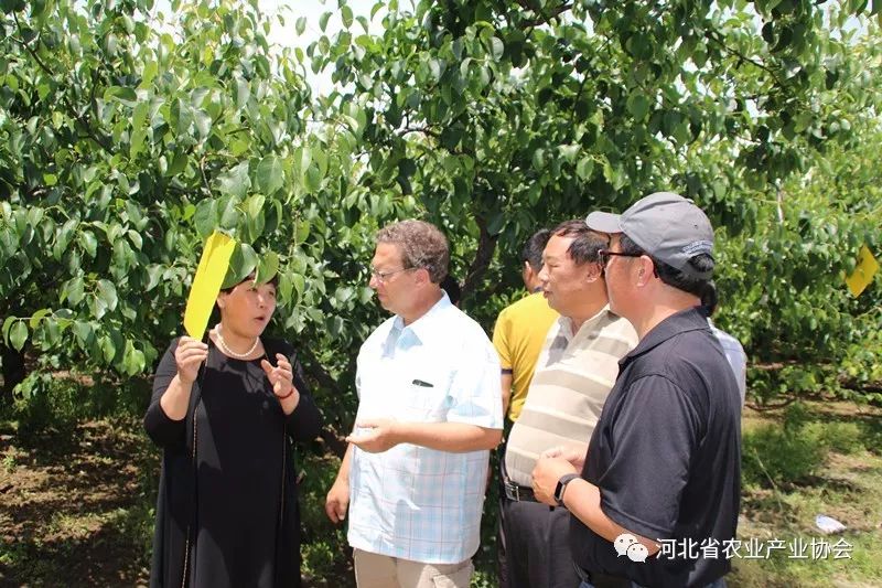 美國農(nóng)業(yè)專家應(yīng)邀來我省指導特色果樹、苗木種植管理技術(shù)
