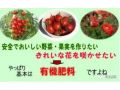 從農(nóng)藥減量到有機農(nóng)業(yè)，日本比我們領(lǐng)先至少半個世紀