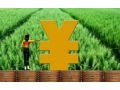 農業(yè)農村部：全面推行農村承包土地經營權抵押貸款