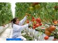 @農(nóng)民朋友，想增收致富嗎？高素質農(nóng)民培養(yǎng)來了！