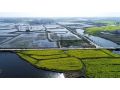 2023年鄉村振興的三大戰略要點