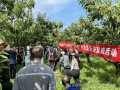 河北省農(nóng)業(yè)產(chǎn)業(yè)協(xié)會經(jīng)常性“三下鄉(xiāng)”科普服務進寬城活動成功舉辦